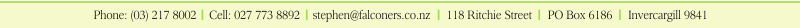 logo footer